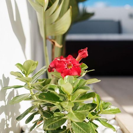 Villa palmera jacuzzi Yaiza  Exterior foto